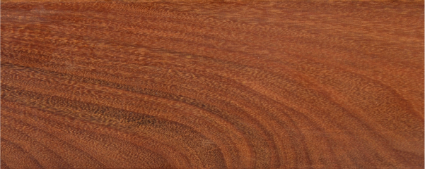 Imagen de una pieza de tarima de madera maciza de IPE